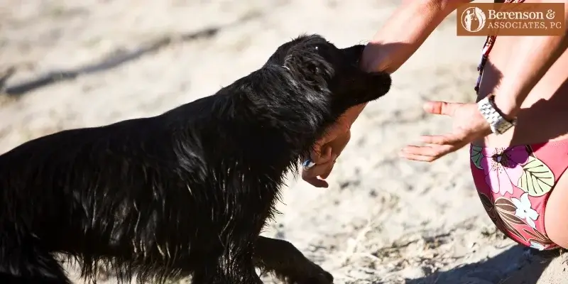 abogado de mordeduras de perro en taos abogado de mordeduras de perro en taos