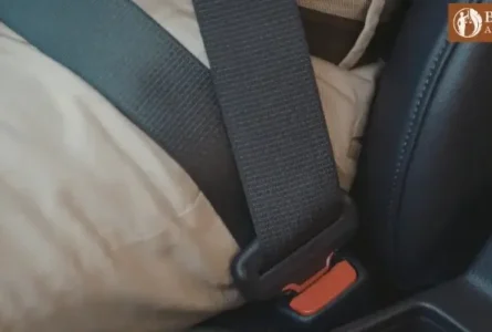 New Mexico’s Seat Belt Laws