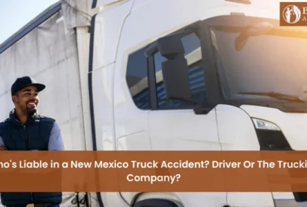 Who’s Liable in a New Mexico Truck Accident? Driver Or the Trucking Company?